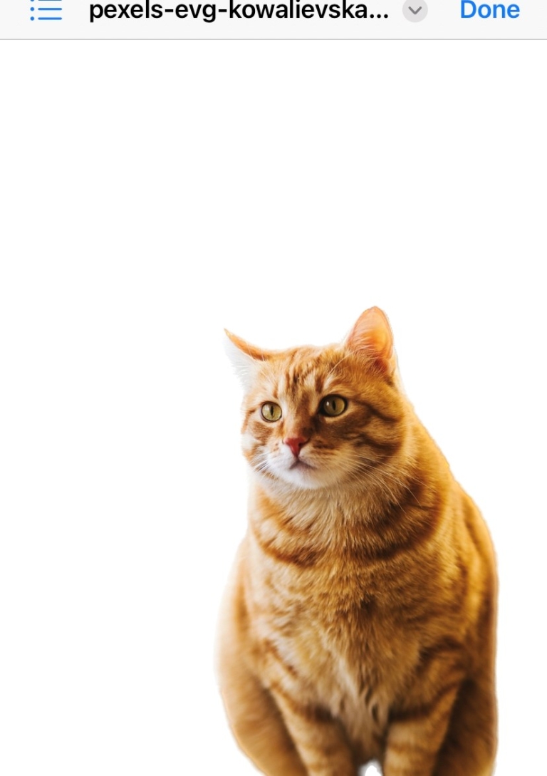 How to Remove Background from Picture on iPhone