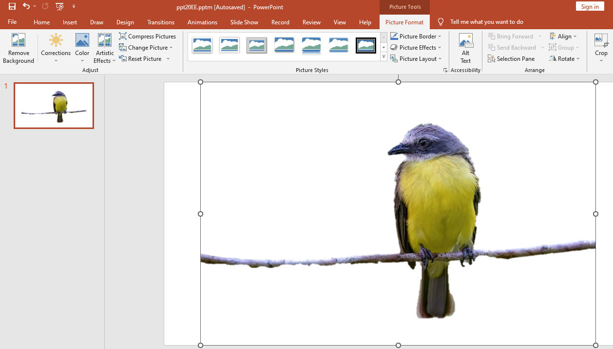 Remove background from image in PowerPoint