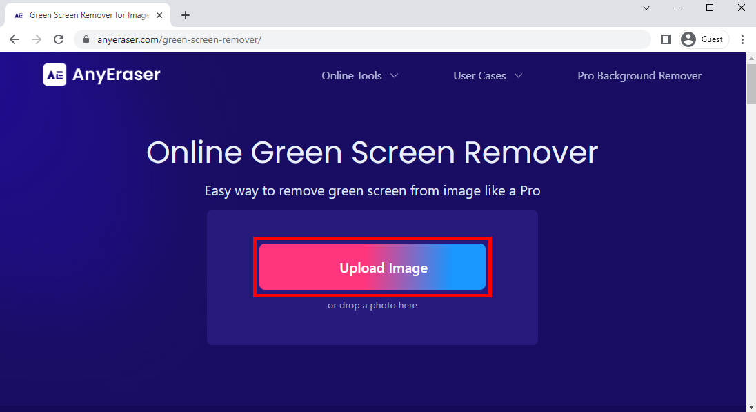 AnyEraser Green Screen Remover