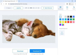 How to Save an Image with a Transparent Background - Best Ways