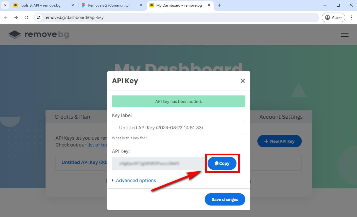 Copy the API key