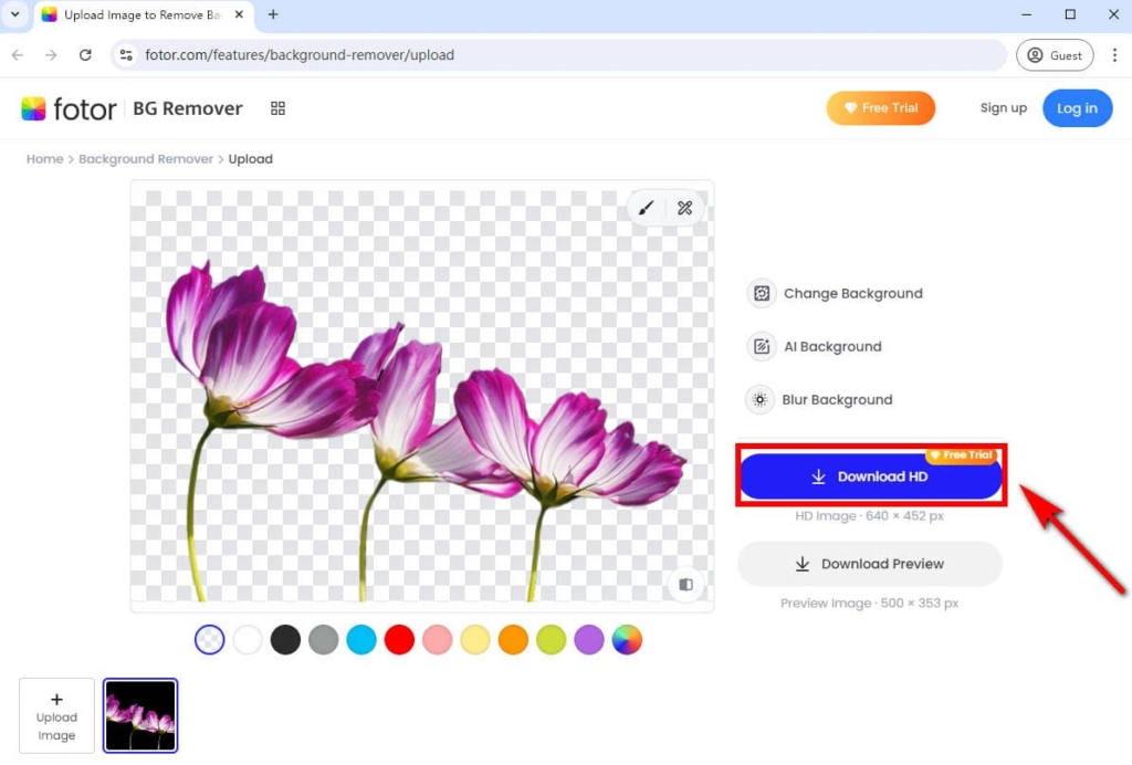 3 Simple Steps to Remove Black from Image of Any Kind