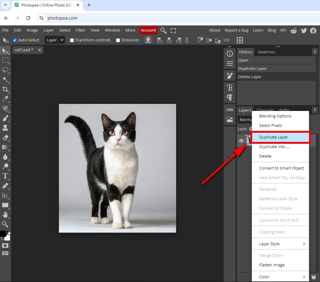 Duplicate the image layer in Photopea