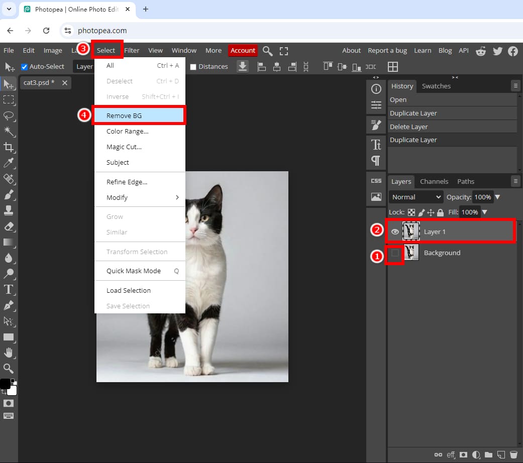 使用「刪除 BG」刪除 Photopea 中的背景