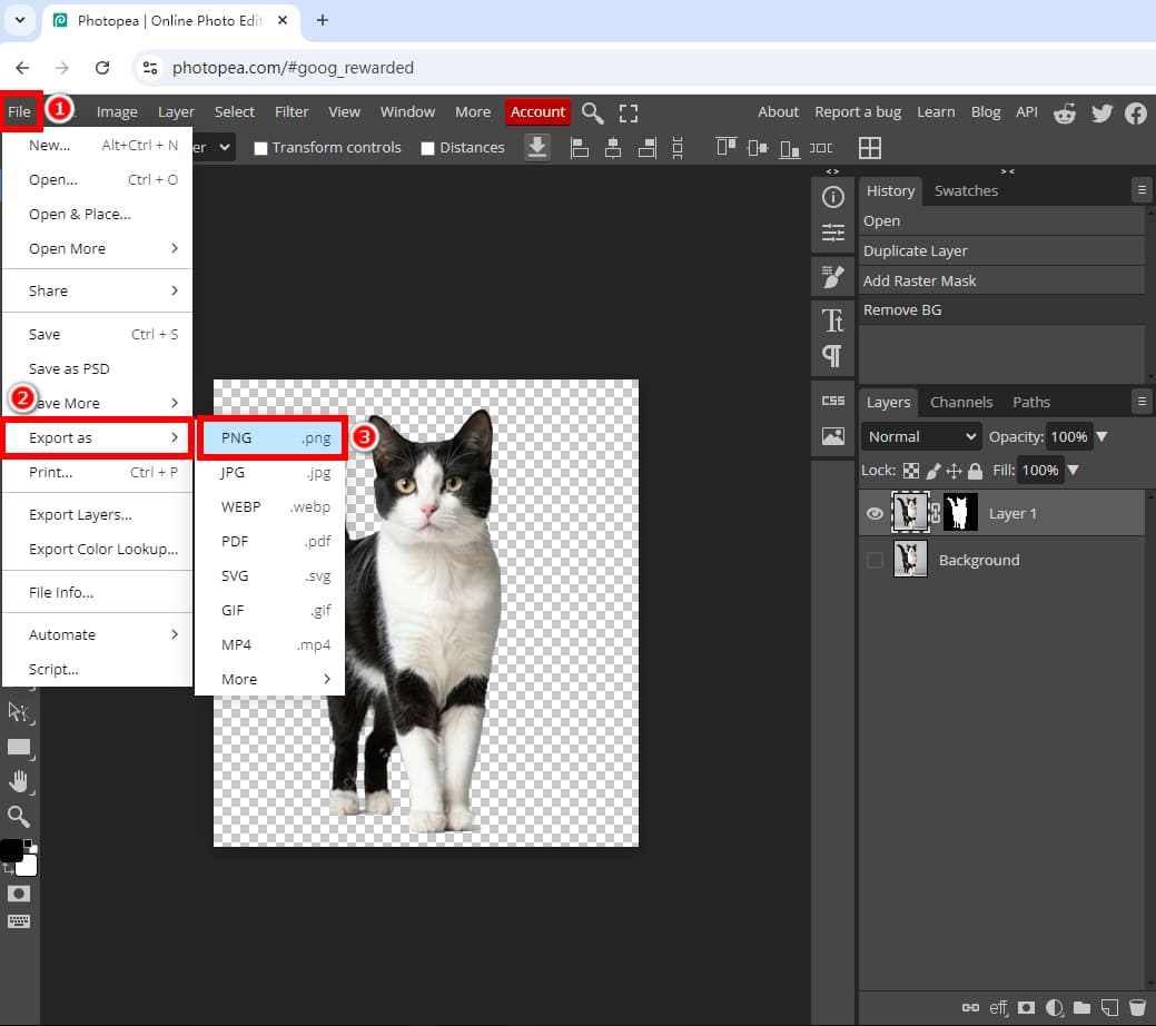 Export the image with a transparent background