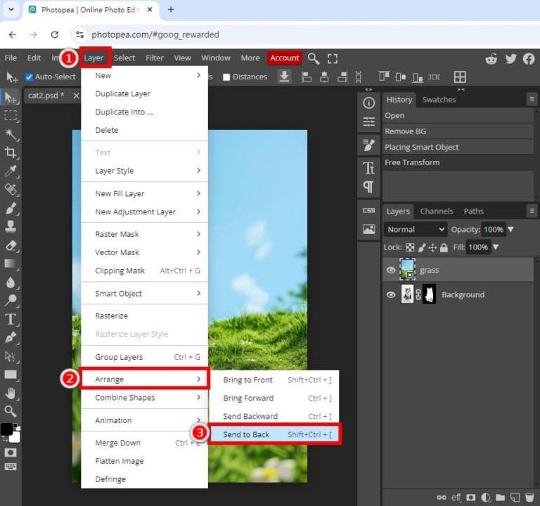 How To Remove A Background In Photopea How to Remove Background in Photopea (Full Guide)