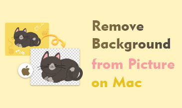 Remove Background from Picture on Mac